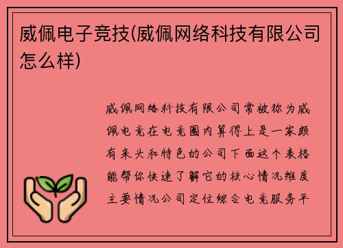 威佩电子竞技(威佩网络科技有限公司怎么样)